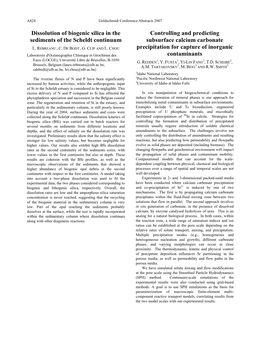 Dissolution of Biogenic Silica in the Sediments of the Scheldt