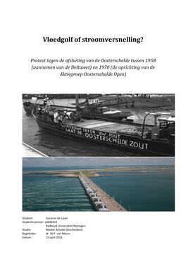 Vloedgolf of Stroomversnelling? Protest