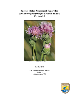 Wright's Marsh Thistle, (Cirsium Wrightii), and Mescalero Milkwort (Polygala Rimulicola Var