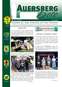 Eibenstock / Sosa 13/2016 – Seite 11