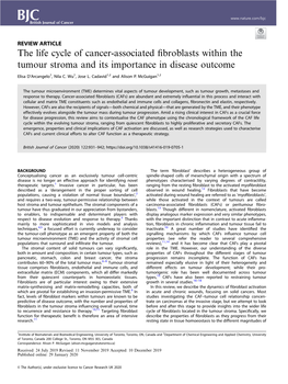 The Life Cycle of Cancer-Associated Fibroblasts Within the Tumour Stroma