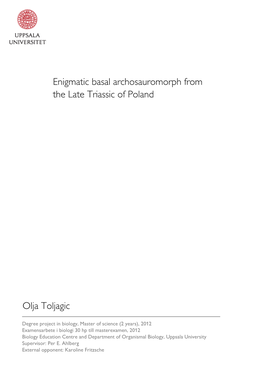 Enigmatic Basal Archosauromorph from the Late Triassic of Poland