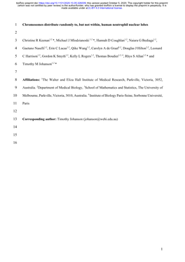 Chromosomes Distribute Randomly To, but Not Within, Human Neutrophil Nuclear Lobes