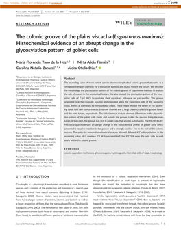 Lagostomus Maximus): Histochemical Evidence of an Abrupt Change in the Glycosylation Pattern of Goblet Cells