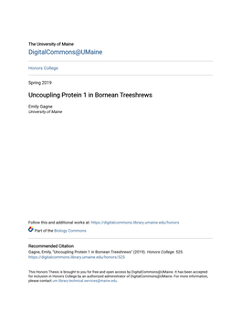 Uncoupling Protein 1 in Bornean Treeshrews