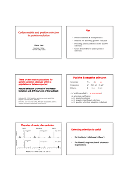 Positive & Negative Selection