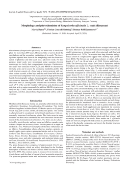 Morphology and Phytochemistry of Sanguisorba Officinalis L. Seeds (Rosaceae)