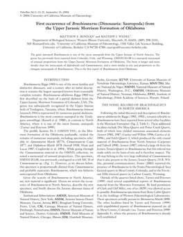 Brachiosaurus (Dinosauria:(Dinosauria: Saursauropoda)Opoda) Frfromom the Upper Jurassic Morrison Formation of Oklahoma