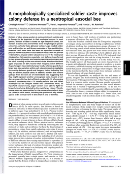 A Morphologically Specialized Soldier Caste Improves Colony Defense in a Neotropical Eusocial Bee