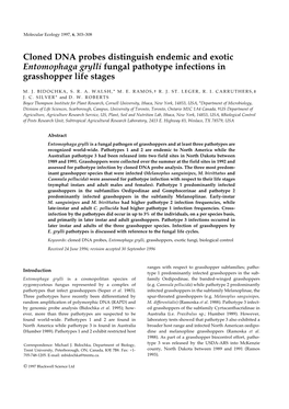 Cloned DNA Probes Distinguish Endemic and Exotic Entomophaga Grylli Fungal Pathotype Infections in Grasshopper Life Stages