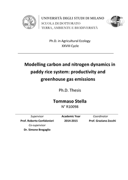 Modelling Carbon and Nitrogen Dynamics in Paddy Rice System: Productivity and Greenhouse Gas Emissions