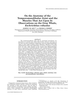 On the Anatomy of the Temporomandibular Joint and the Muscles That Act Upon It: Observations on the Gray Whale, Eschrichtius Robustus