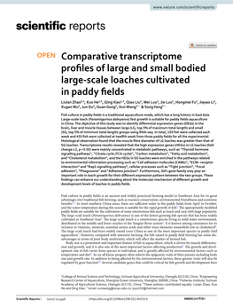 Comparative Transcriptome Profiles of Large and Small Bodied Large-Scale