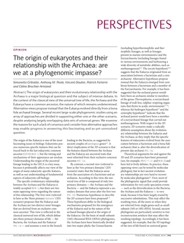 The Origin of Eukaryotes and Their Relationship with the Archaea: Are