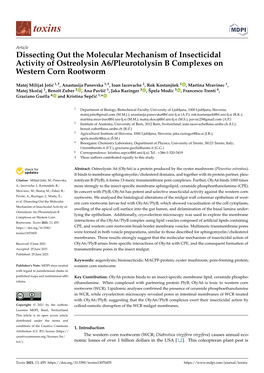 Dissecting out the Molecular Mechanism of Insecticidal Activity of Ostreolysin A6/Pleurotolysin B Complexes on Western Corn Rootworm