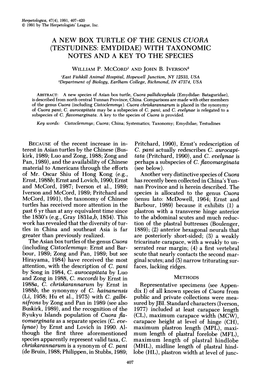 A New Box Turtle of the Genus Cuora (Testudines: Emydidae) with Taxonomic Notes and a Key to the Species