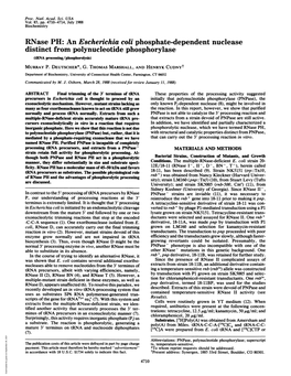 Rnase PH: an Escherichia Coli Phosphate-Dependent Nuclease Distinct from Polynucleotide Phosphorylase (Trna Processing/Phosphorolysis) MURRAY P