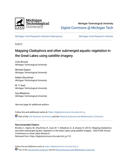 Mapping Cladophora and Other Submerged Aquatic Vegetation in the Great Lakes Using Satellite Imagery