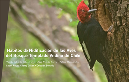 Hábitos De Nidificación De Las Aves Del Bosque Templado Andino De Chile. Fondo De Protección Ambiental, Ministerio Del Medio Ambiente