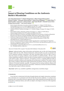 Impact of Rearing Conditions on the Ambrosia Beetle's Microbiome