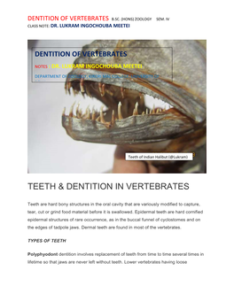 Teeth & Dentition in Vertebrates