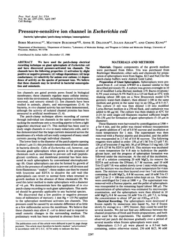 Pressure-Sensitive Ion Channel in Escherichia Coli (Bacteria/Spheroplast/Patch-Clamp Technique/Osmoregulation) BORIS MARTINAC*T, MATTHEW BUECHNER**§, ANNE H