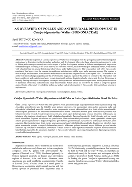 AN OVERVIEW of POLLEN and ANTHER WALL DEVELOPMENT in Catalpa Bignonioides Walter (BIGNONIACEAE)