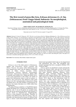 The First Record of Grass-Like Fern, Schizaea Dichotoma (L.) J. Sm