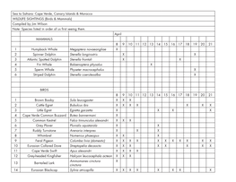 Sea to Sahara: Cape Verde, Canary Islands & Morocco WILDLIFE