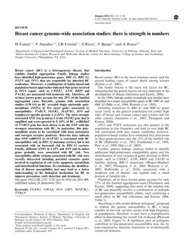 Breast Cancer Genome-Wide Association Studies: There Is Strength in Numbers