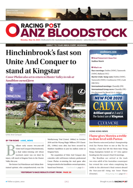 Hinchinbrook's Fast Son Unite and Conquer to Stand at Kingstar