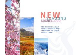 NEW SEASONS Is About Showing You What Magic Lies Beyond the Regular Summer Travel CONTENT