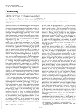 Commentary More Surprises from Kinetoplastida