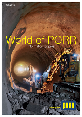 Information for Pros World of PORR 168/2016 Table of Contents