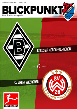 Sv Wehen Wiesbaden Borussia Mönchengladbach