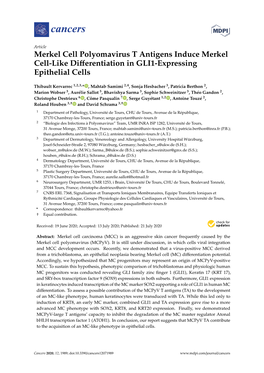 Merkel Cell Polyomavirus T Antigens Induce Merkel Cell-Like Diﬀerentiation in GLI1-Expressing Epithelial Cells