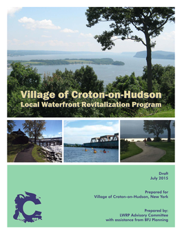 Draft Local Waterfront Revitalization Program