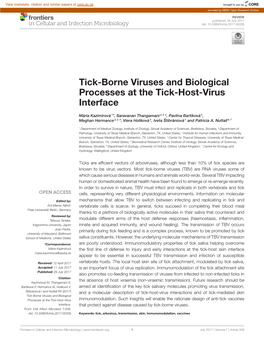 Tick-Borne Viruses and Biological Processes at the Tick-Host-Virus Interface