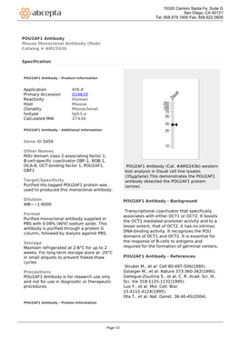 POU2AF1 Antibody Mouse Monoclonal Antibody (Mab) Catalog # Am2243b