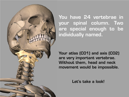 You Have 24 Vertebrae in Your Spinal Column. Two Are Special Enough to Be Individually Named
