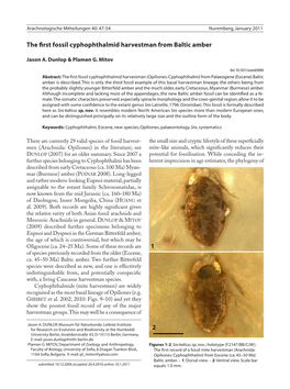 The First Fossil Cyphophthalmid Harvestman from Baltic Amber