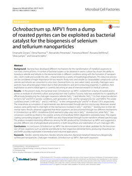Ochrobactrum Sp. MPV1 from a Dump of Roasted Pyrites Can Be Exploited
