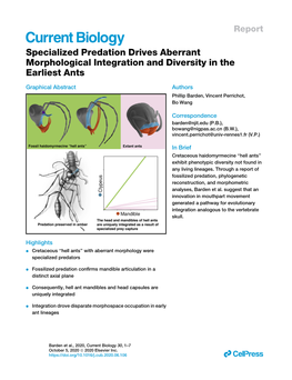 Specialized Predation Drives Aberrant Morphological Integration and Diversity in the Earliest Ants