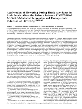Acceleration of Flowering During Shade Avoidance in Arabidopsis