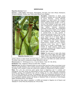 Nepenthes Khasiana Hook.F