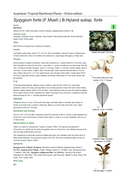 Syzygium Forte Subsp. Forte