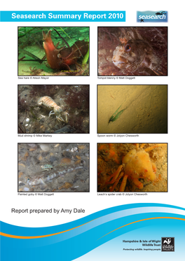 Seasearch Summary Report 2010