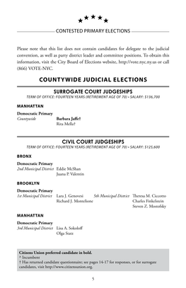 Countywide Judicial Elections