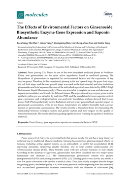 The Effects of Environmental Factors on Ginsenoside Biosynthetic Enzyme Gene Expression and Saponin Abundance