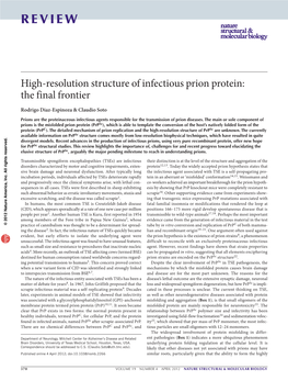 High-Resolution Structure of Infectious Prion Protein: the Final Frontier